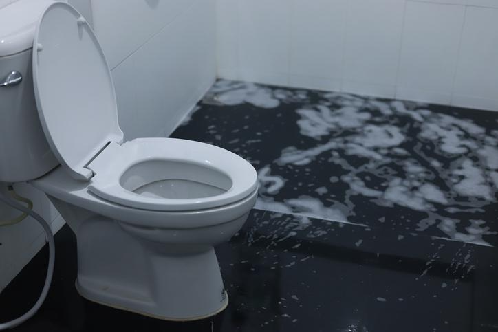 What to Do When Your Toilet Overflows