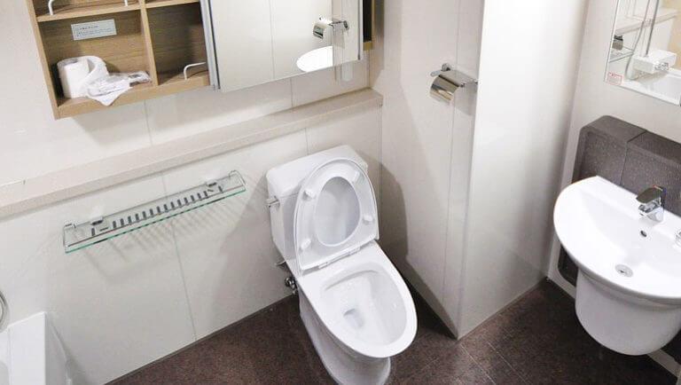 The Best Way to Unclog a Toilet