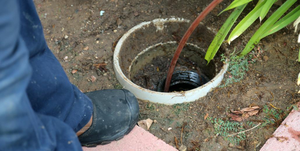 How Often Should My Sewer Lines Be Cleaned?