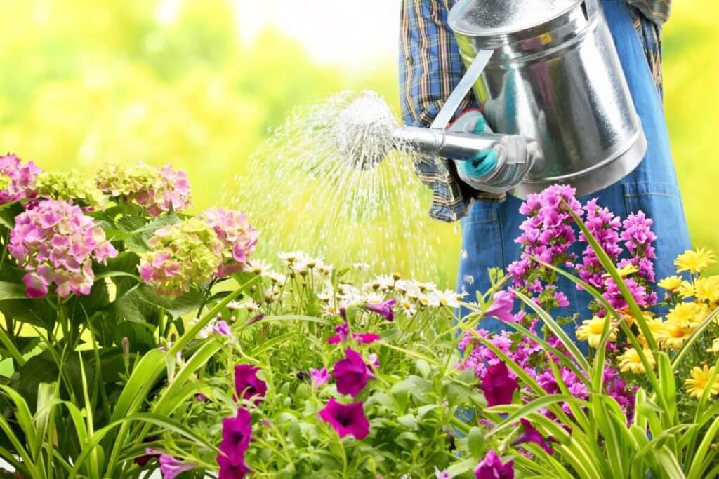 6 Ways to Save Water While Landscaping